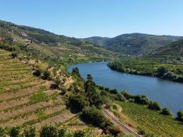 douro valley portugal wine region